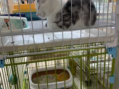 -三旗百汇商品城