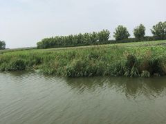 -微山湖红荷湿地景区