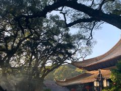 -普陀山雷迪森庄园