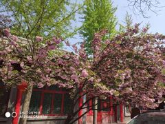 -速8酒店(北京宣武医院老墙根街店)