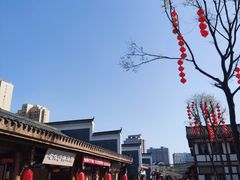 -洋湖国家湿地公园