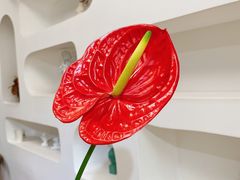 -森野花艺培训·企业团建活动沙龙