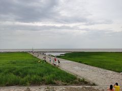 -南汇嘴观海公园