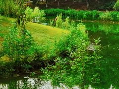 -大兴滨河森林公园