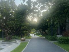 -四海公园(南山区)
