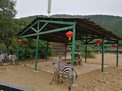 -无锡动物园·太湖欢乐园