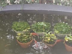 -衡山路(地铁站)