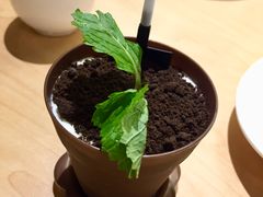 -鹿其林酒家(大学城店)
