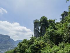 -三峡人家风景区