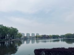 -泰丰公园