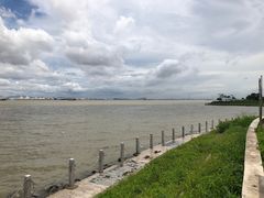 -海鸥岛
