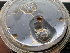 -星巴克(万都店)