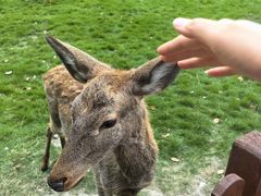 -上海交通大学(闵行校区)