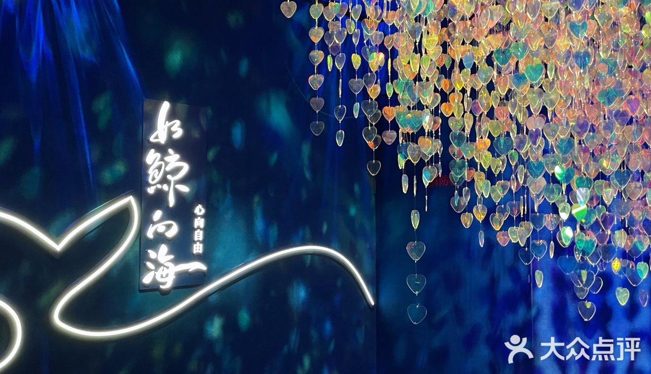 武汉深蓝｜人与自然的治愈之旅