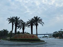 -宝安西湾红树林湿地公园