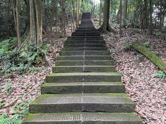 -凤栖山