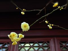 -钱王祠
