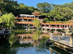 -深圳仙湖植物园