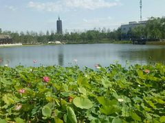 -西海子公园