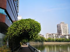 -喷泉公园