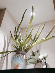 -香秀空间科技抗衰·美容中心