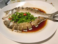 清蒸鲈鱼-大铁勺新津菜(东丽阳光新业广场店)