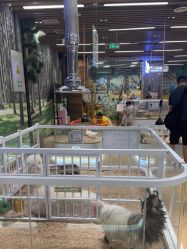 -小象动悟公园(龙湖亦庄天街店)