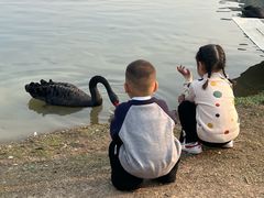 -洋湖国家湿地公园