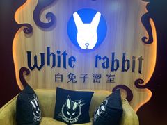 -白兔子密室(长寿路店)