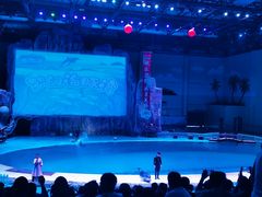 -华夏文旅海洋公园