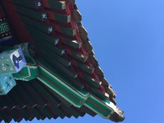 -北京鹫峰国家森林公园