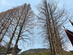 -罗田天堂寨风景区