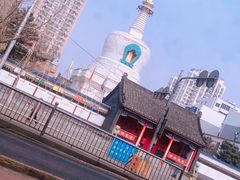 -青瓦餐厅·生鱼片·韩园烤肉(西塔店)