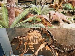 -国家自然博物馆