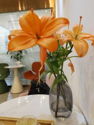 -FUMEIHUI·科技美肤·美体SPA