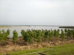 -上海南汇嘴大堤酒店