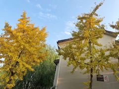 -小河直街历史文化街区