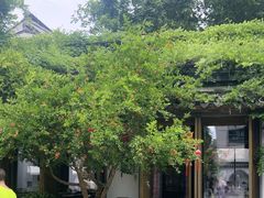 -鲤院·新中式美学·庭院餐厅(夫子庙店)