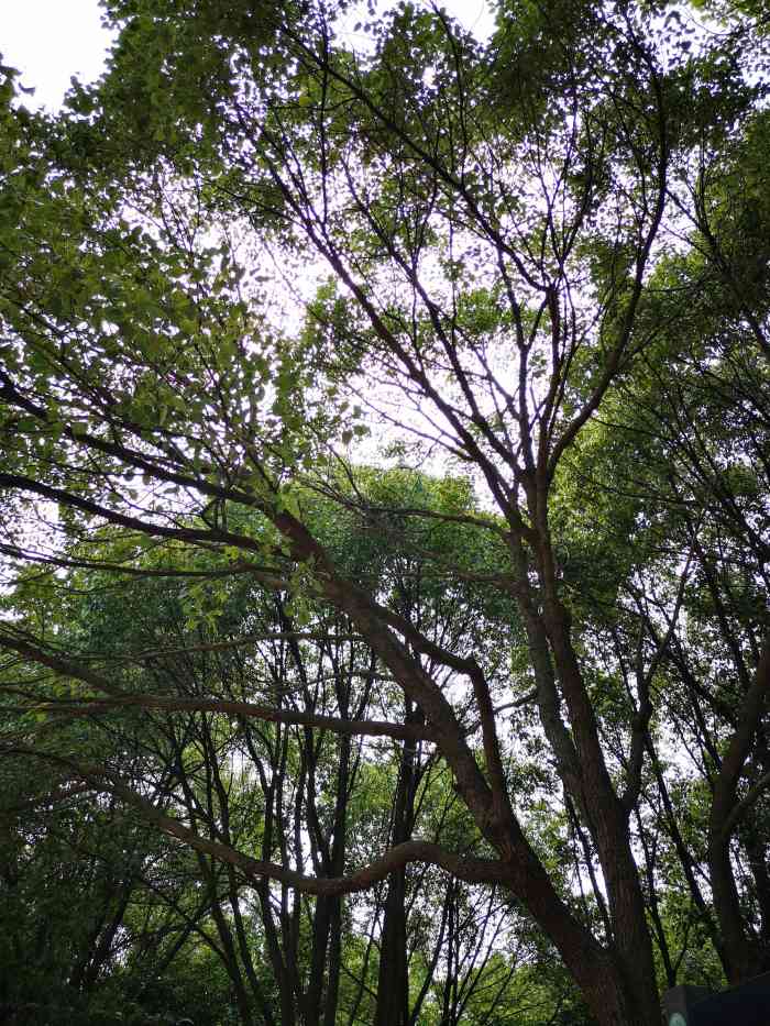 古樟植物園-售票處