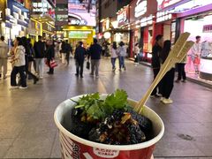 -黑色经典臭豆腐·湖南特产(步行街店)