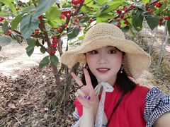 -普迪生态园
