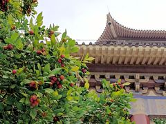 -广州中山纪念堂