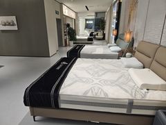 -红星美凯龙(上海沪南店)