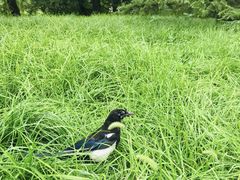 -钓鱼台国宾馆