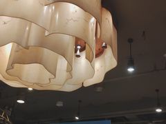 -金鼎轩(方庄店)