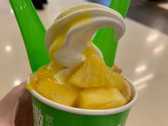 -Salud撒露欧洲冻酸奶(五道口购物中心店)