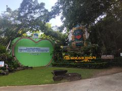 -绿光森林餐厅