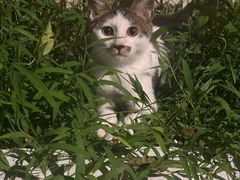 -大佬李砂锅(钱江财富广场店)