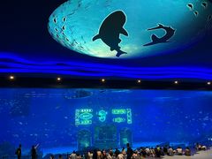 -上海海昌海洋公园