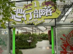 -南宫五洲植物乐园
